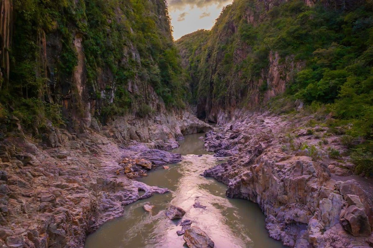 Cañón Digital tweet media