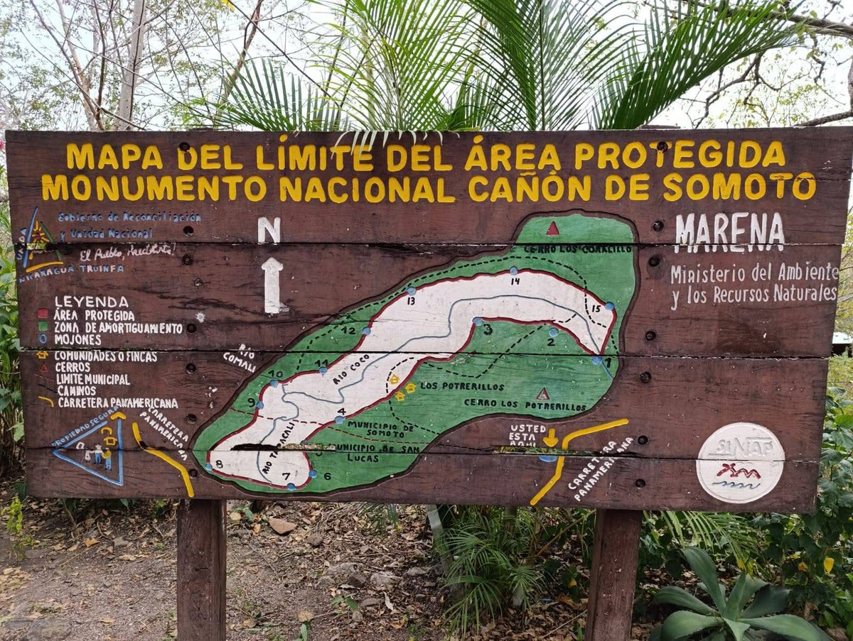Cañón Digital tweet media