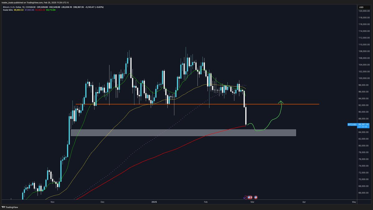 Trader Koala tweet media