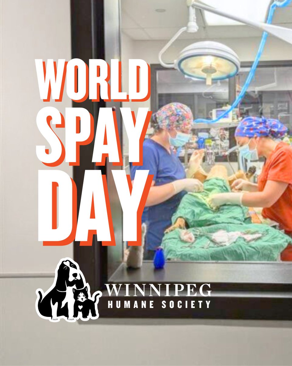 Today is #WorldSpayDay!
DYK our clinic performs thousands of spays and neuters each year right at the shelter? Read more about how this quick procedure keeps your pets, you, and your community safer:
mvma.ca/spay/