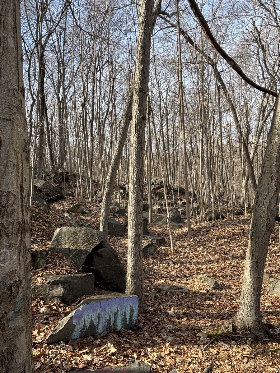 AshleyTavenner's tweet image. Finally some warmer weather to enjoy☀️, I am so ready for spring 🌸🌼🌹🌺 #hikingadventures #bringspring #herecomesthesun