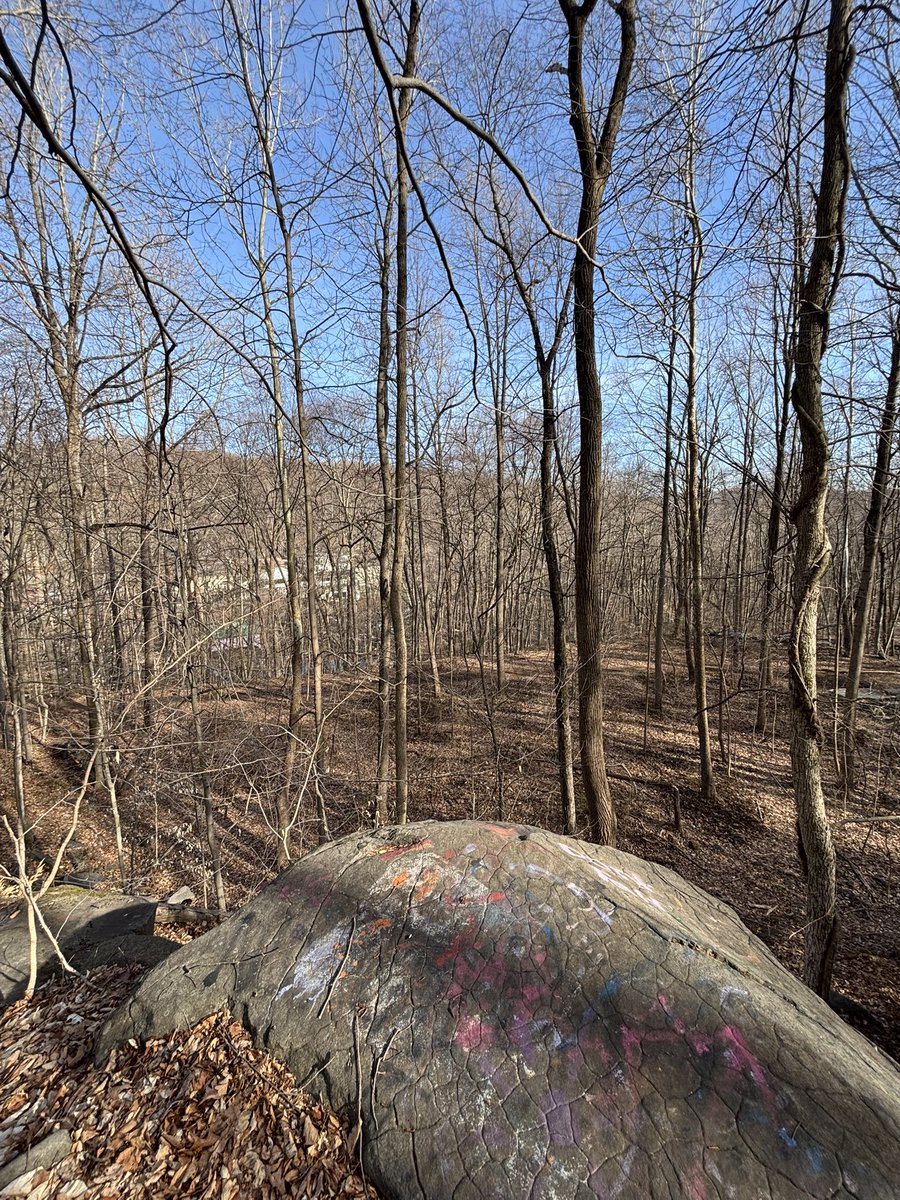 AshleyTavenner's tweet image. Finally some warmer weather to enjoy☀️, I am so ready for spring 🌸🌼🌹🌺 #hikingadventures #bringspring #herecomesthesun