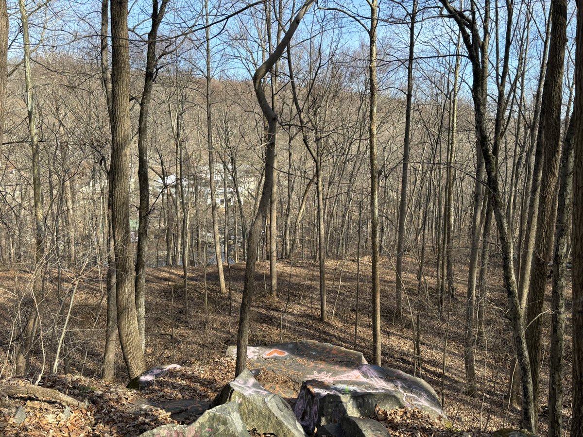 AshleyTavenner's tweet image. Finally some warmer weather to enjoy☀️, I am so ready for spring 🌸🌼🌹🌺 #hikingadventures #bringspring #herecomesthesun