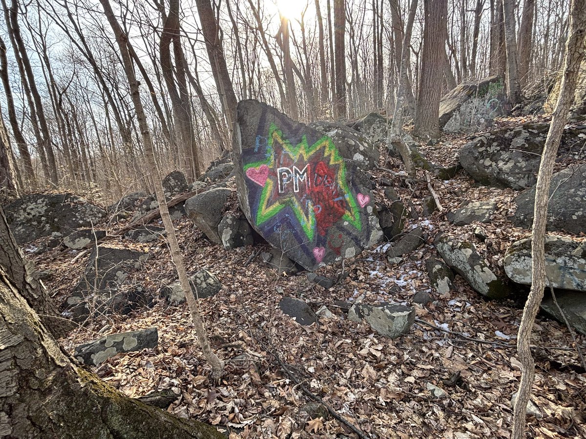 AshleyTavenner's tweet image. Finally some warmer weather to enjoy☀️, I am so ready for spring 🌸🌼🌹🌺 #hikingadventures #bringspring #herecomesthesun