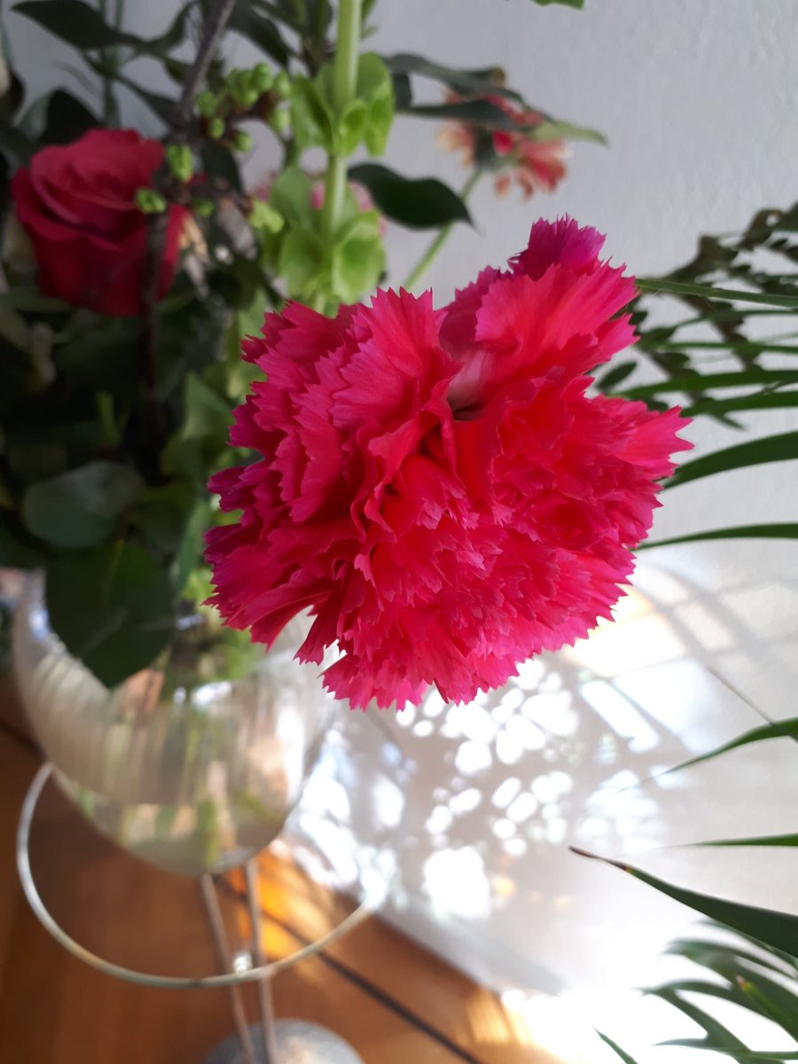 katarinamix's tweet photo. “Srce moje”, ti se moli svom Bogu, ja ću svom, dovoljno je da jedan pomogne".
Ne poznajem autora,ali znam da je stvaran i divan. https://t.co/IWiS8WBZdd