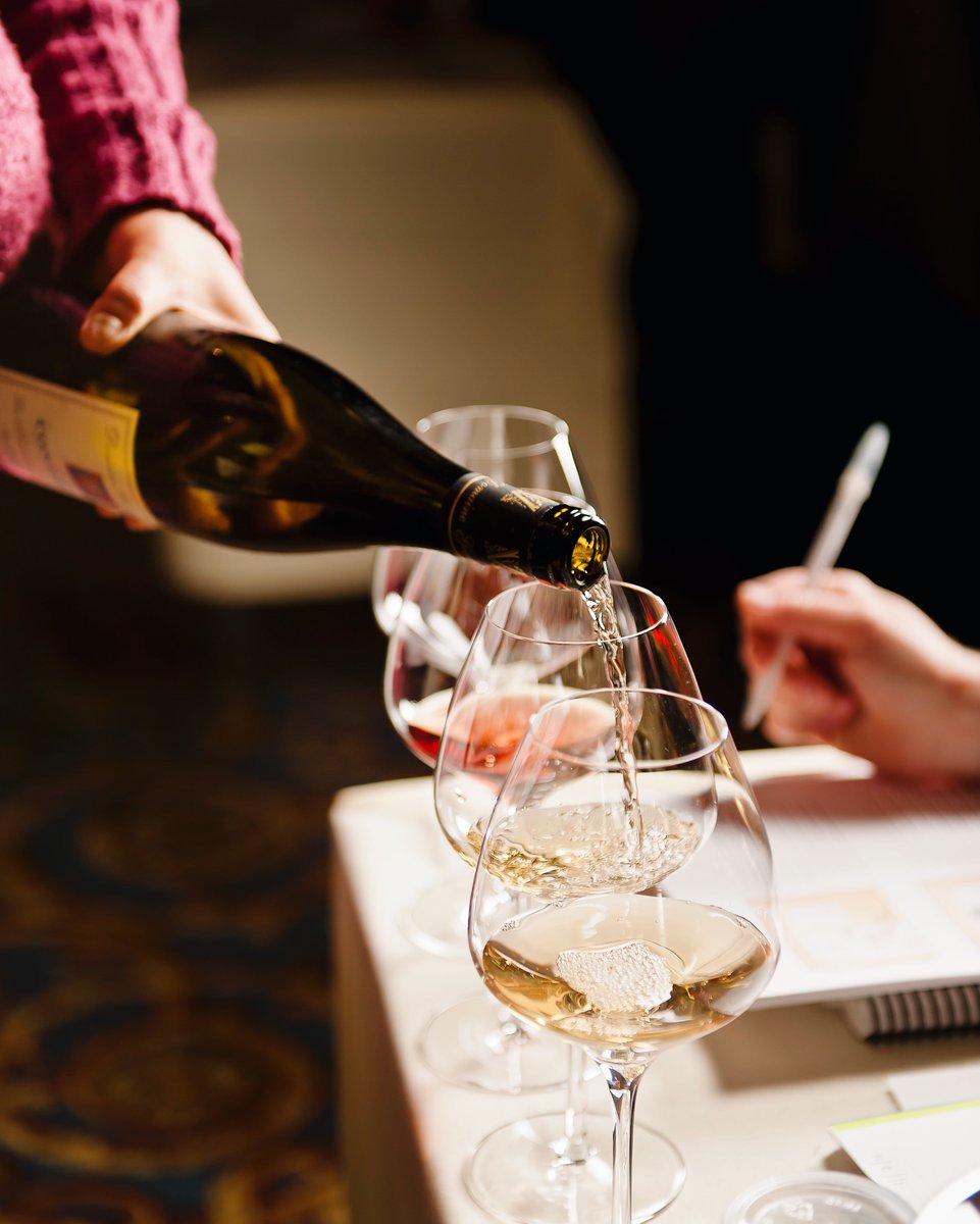 Join us for our Intro to Wine Series, starting with Wine 101 on 2/28 or 3/28 🙌! This series is perfect for novice enthusiasts, early-career wine employees, and anyone who wants a fun and informative introduction to wine. Sign up: bit.ly/3CPjcwW