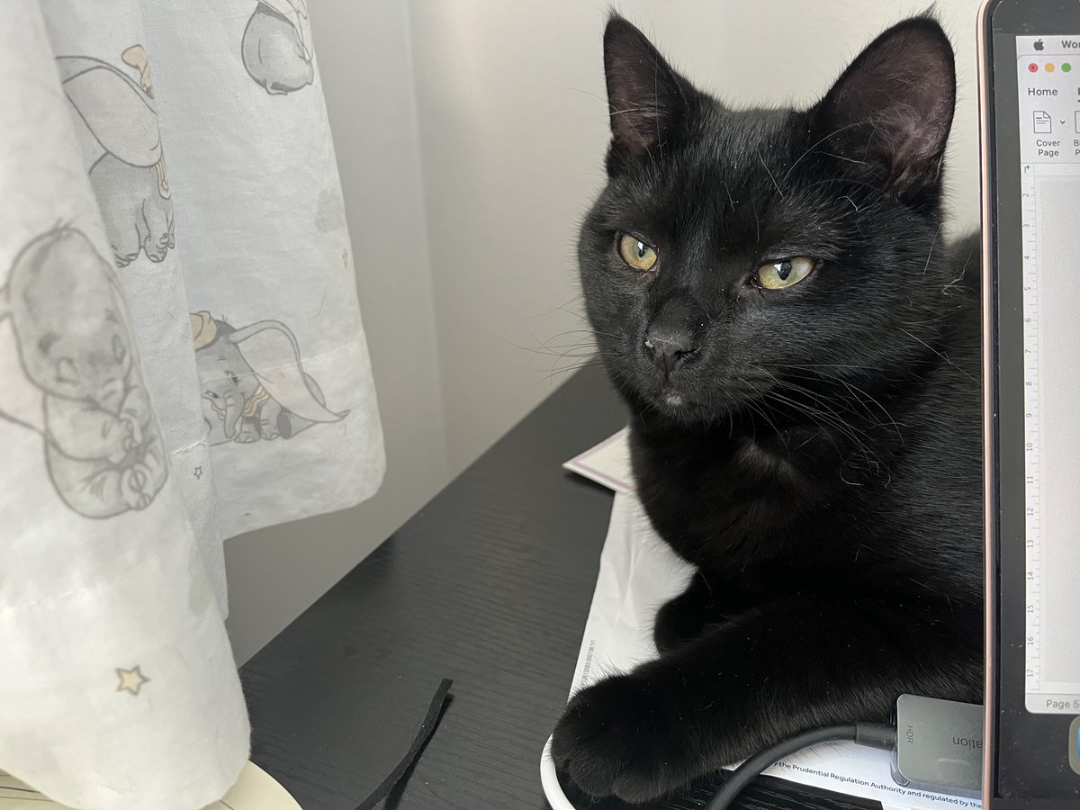 Emma Fielding tweet media