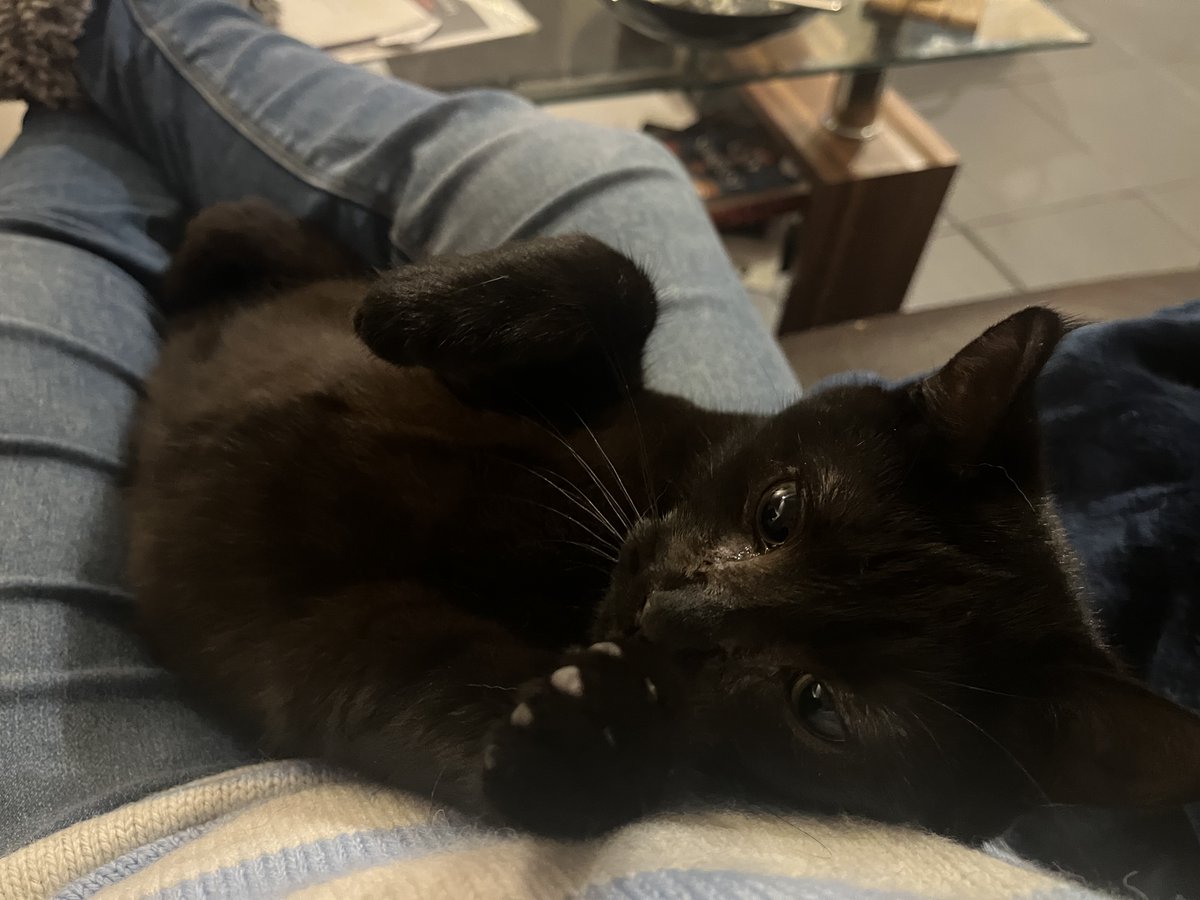 Emma Fielding tweet media