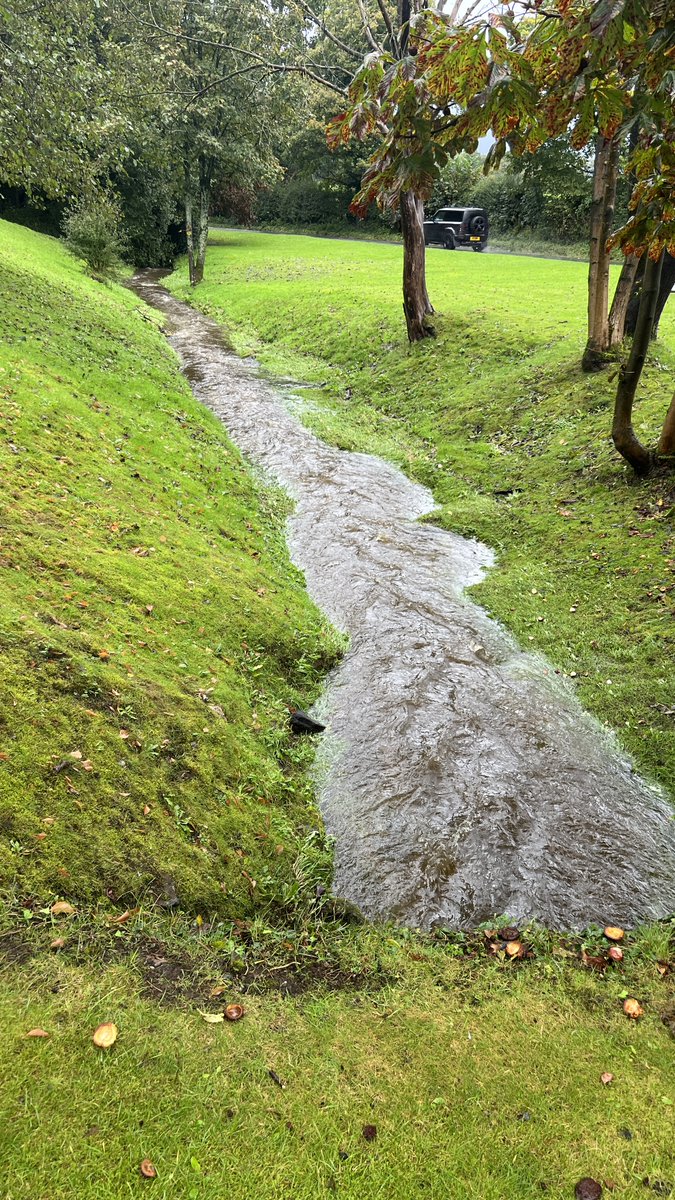 #RiparianOwners are encouraged to manage their watercourse and land sustainably where possible. This may include:
🪵leaky dams
🌲planting trees
🦆restoring wetland habitats
🚜incorporating buffer strips or wildflower planting on farmland.

To find out about what works require a