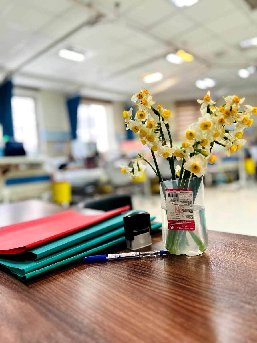 به بیماری که برای پرستارش نرگس بیاره چی باید گفت؟
کارآموزی بخش دیالیز🩸