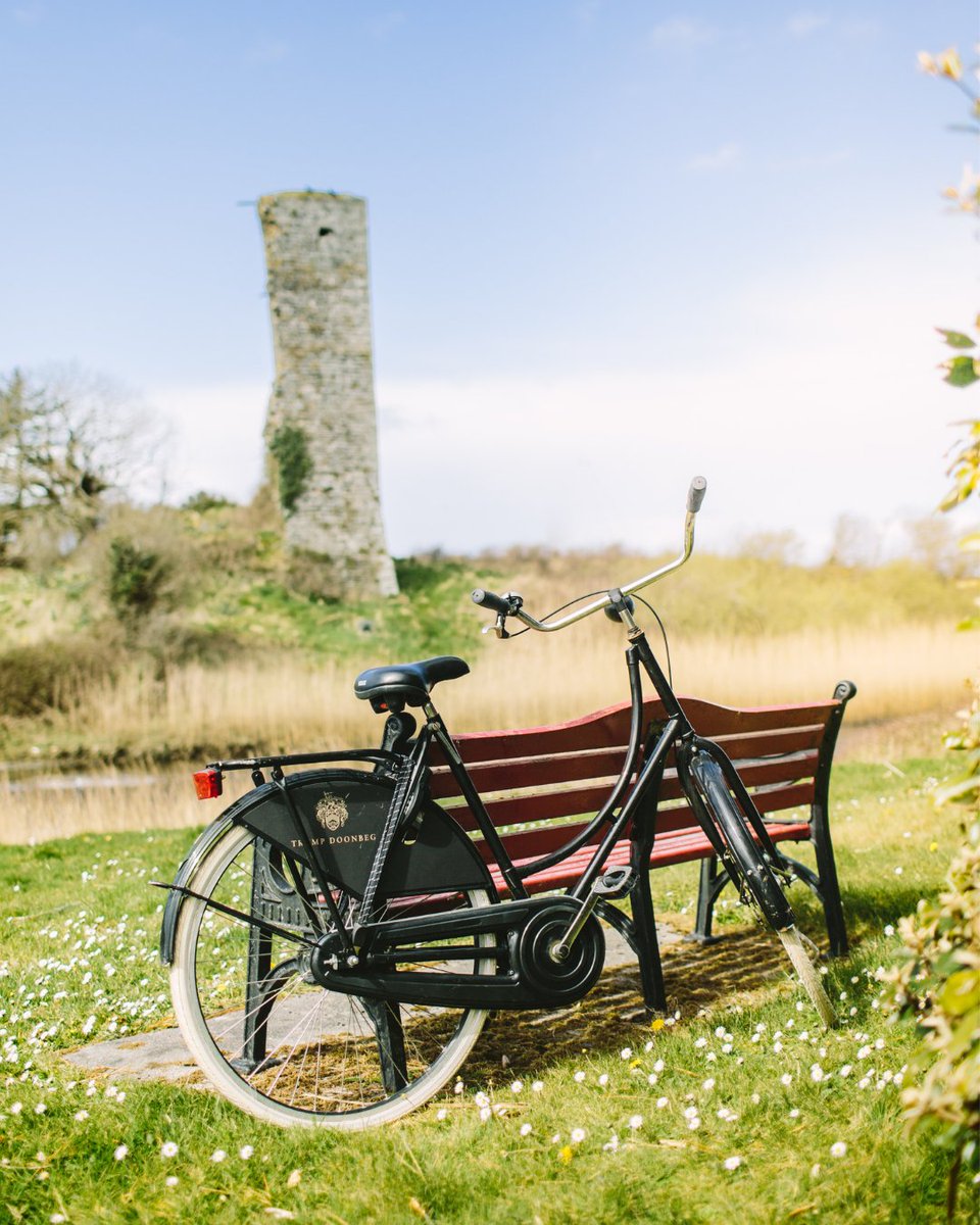 Trump Ireland tweet media