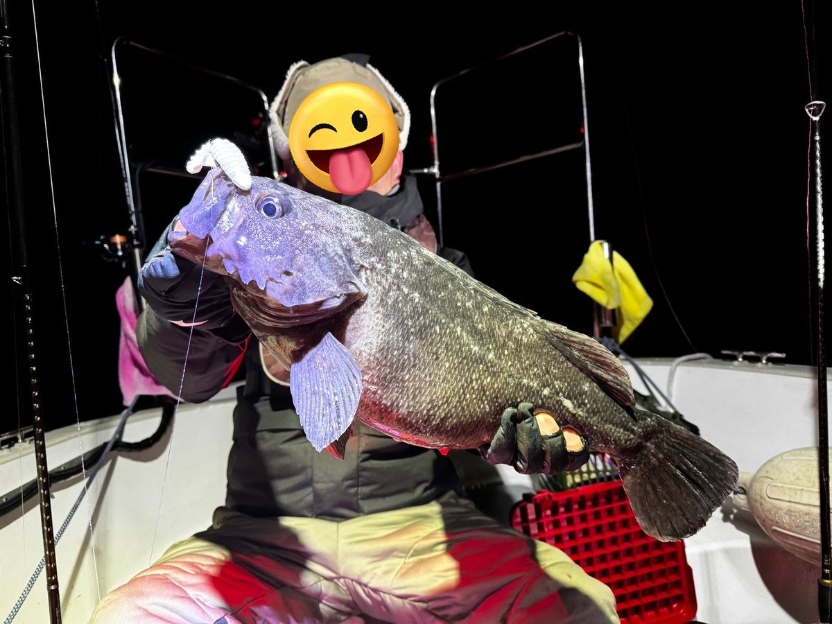 まきぽよ tweet media