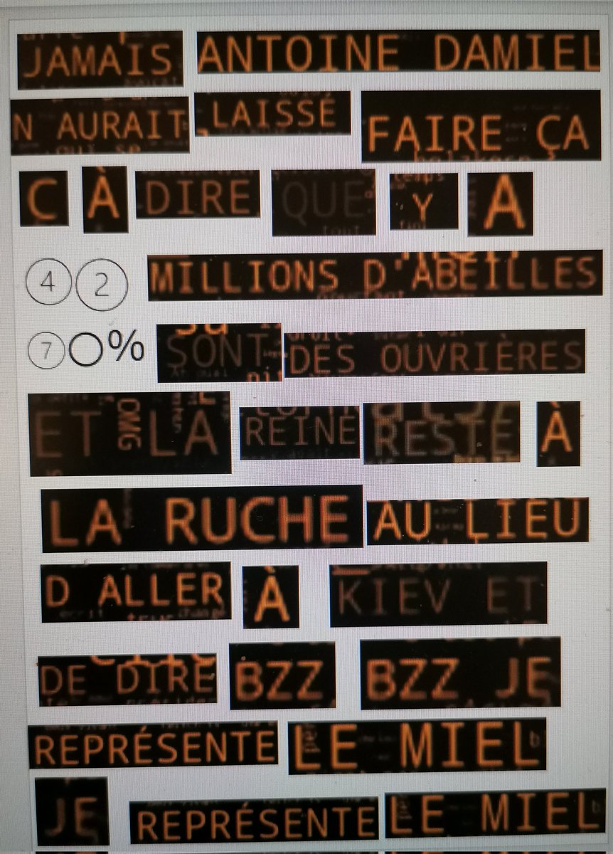 P0lynx's tweet image. Peut-être je suis folle on sait pas