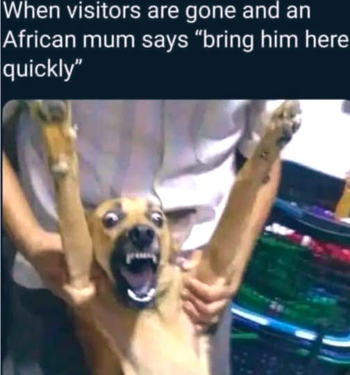 MaMhlanga Nompumelelo tweet media