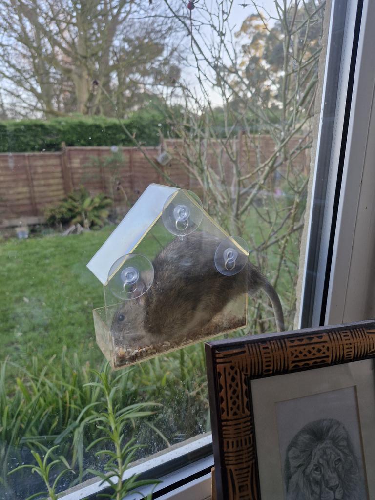 Samantha J P MacKenzie tweet media