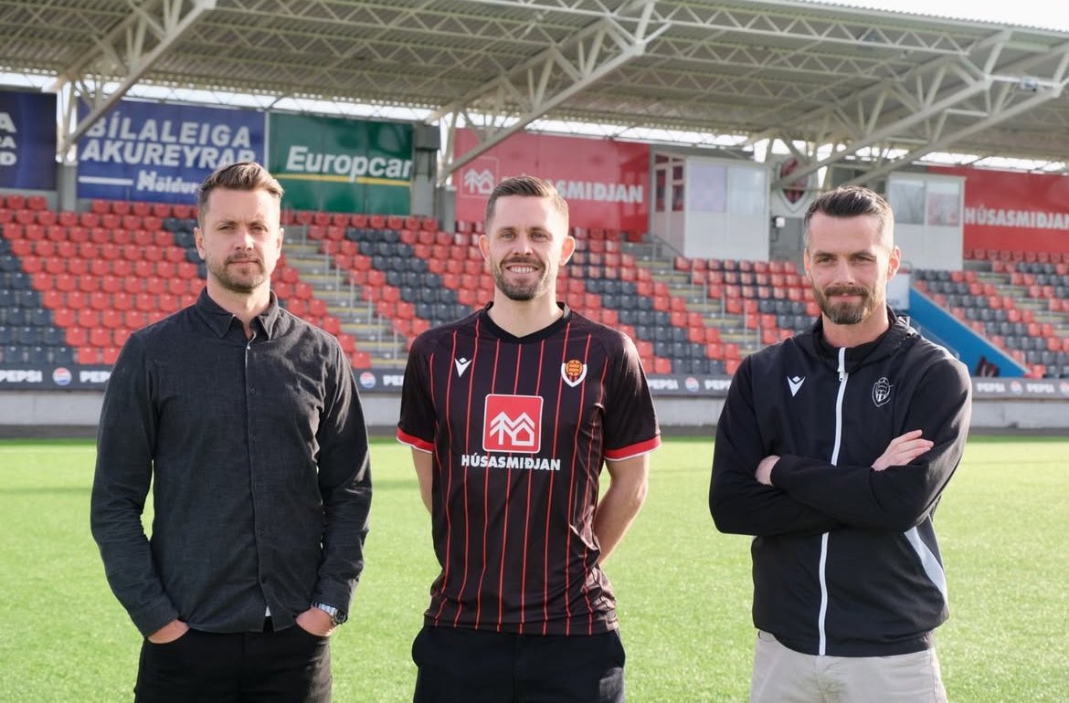 David Steinn tweet media