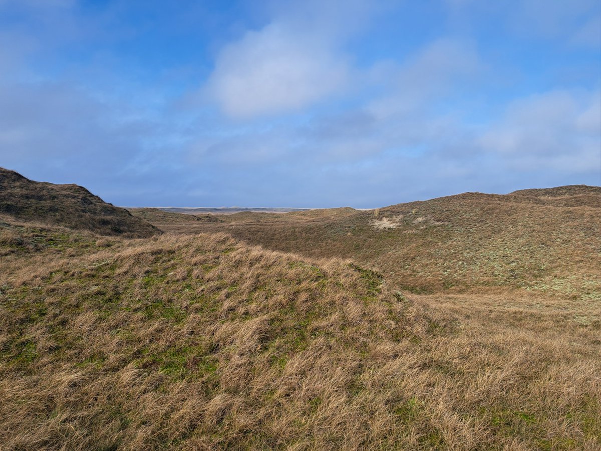 MachielLock's tweet image. Foto's dag 2 op Texel: de duinen (2x), de hervormde kerk te Den Burg, de hervormde kerk te De Koog. #texel #duinen #kerken