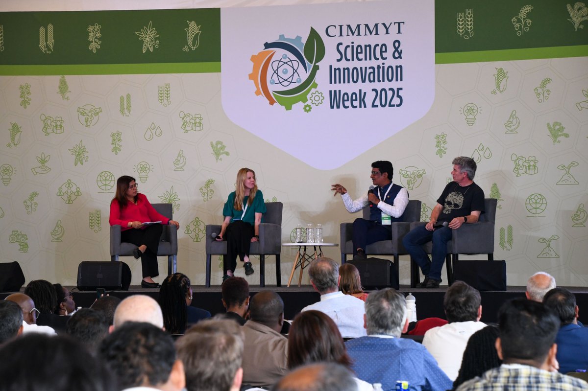 🚀 Day 1 of #SIW2025 kicked off with powerful conversations led by CIMMYT’s brightest minds. They shared the latest updates and strategic actions to advance our mission and drive impactful solutions for global food security. 🌎
#CIMMYT #Innovation #Agriculture #Research