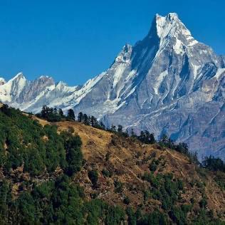 Mfs made jerkmate outta this shit