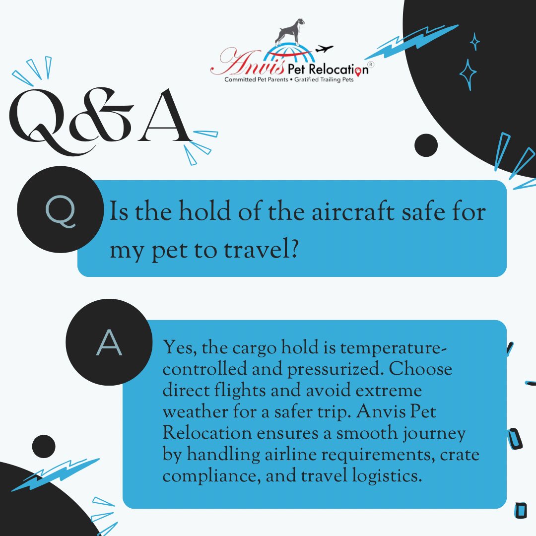 anvisinc's tweet photo. #instagram #insta #fyp #fypシ #Anvis #PetParadise #BengaluruPetBoarding #PetBoarding #PetRelocation #bangalore https://t.co/Qz0axyH8gO