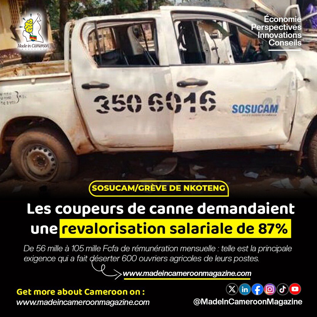 micmag237's tweet photo. 🇨🇲 Grève de Nkoteng : les coupeurs de canne demandaient une revalorisation salariale de 87%
De 56 mille à 105 mille Fcfa de rémunération mensuelle : telle est la principale exigence qui a fait déserter 600 ouvriers agricoles de leurs postes à la Sosucam. #micmag 1/2 https://t.co/UPtHx7fTZO