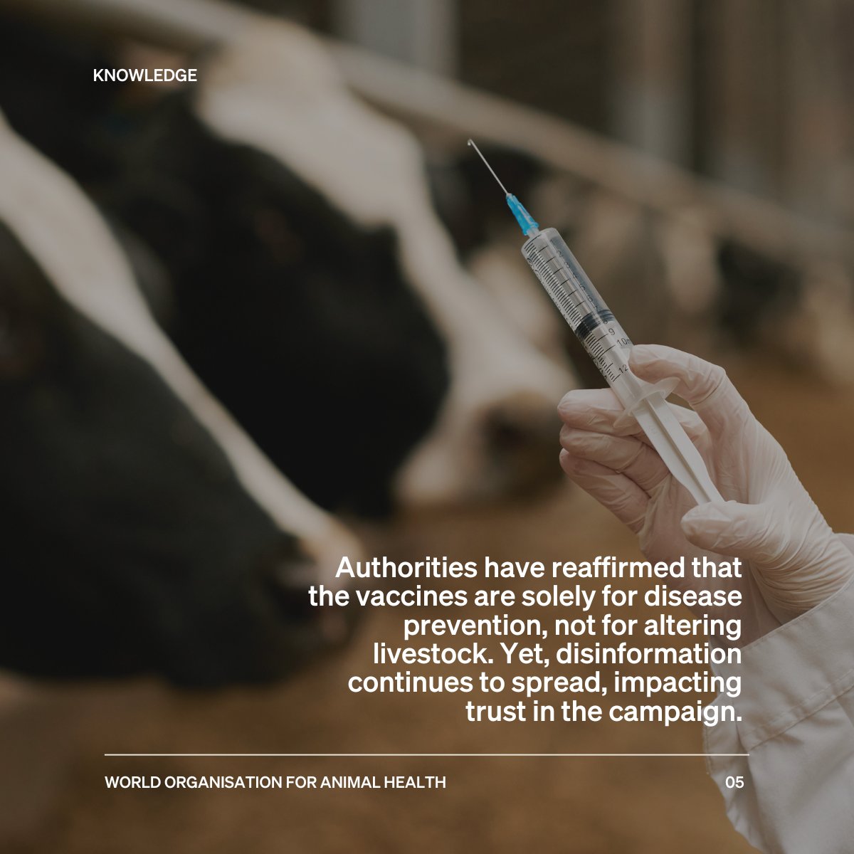 WOAH's tweet photo. Often disinformation can stand in the way of improving #animal health. 
The consequences of untruthful or misleading statements can increase the risk for animal and zoonotic diseases to quickly spread and erode people’s trust in authorities, undermining health responses.