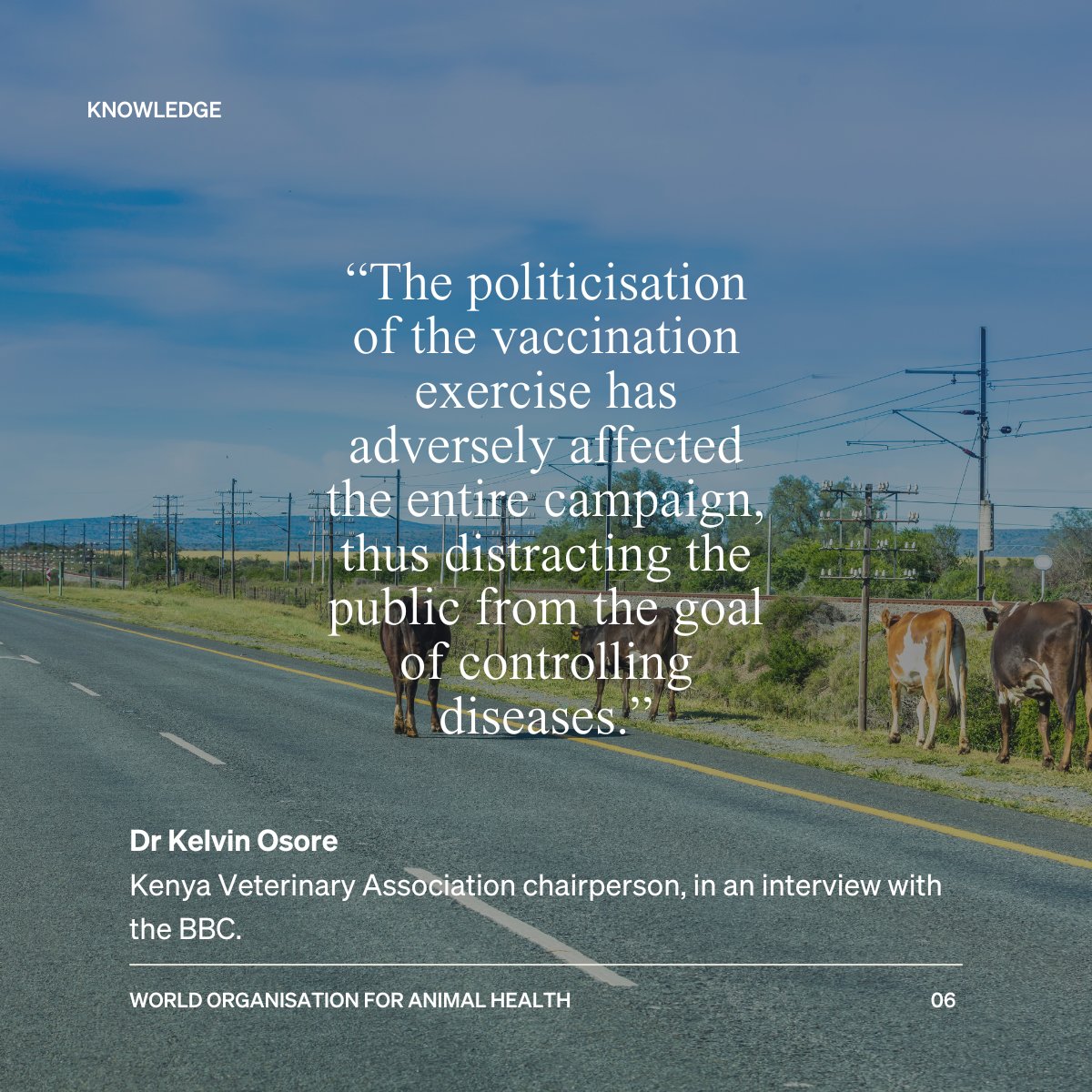 WOAH's tweet photo. Often disinformation can stand in the way of improving #animal health. 
The consequences of untruthful or misleading statements can increase the risk for animal and zoonotic diseases to quickly spread and erode people’s trust in authorities, undermining health responses.