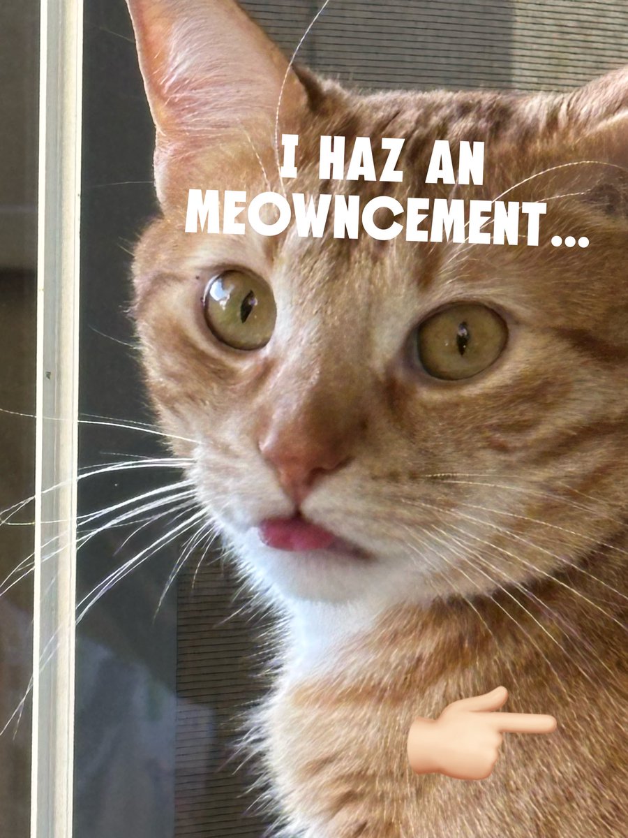 Dave Yates tweet media