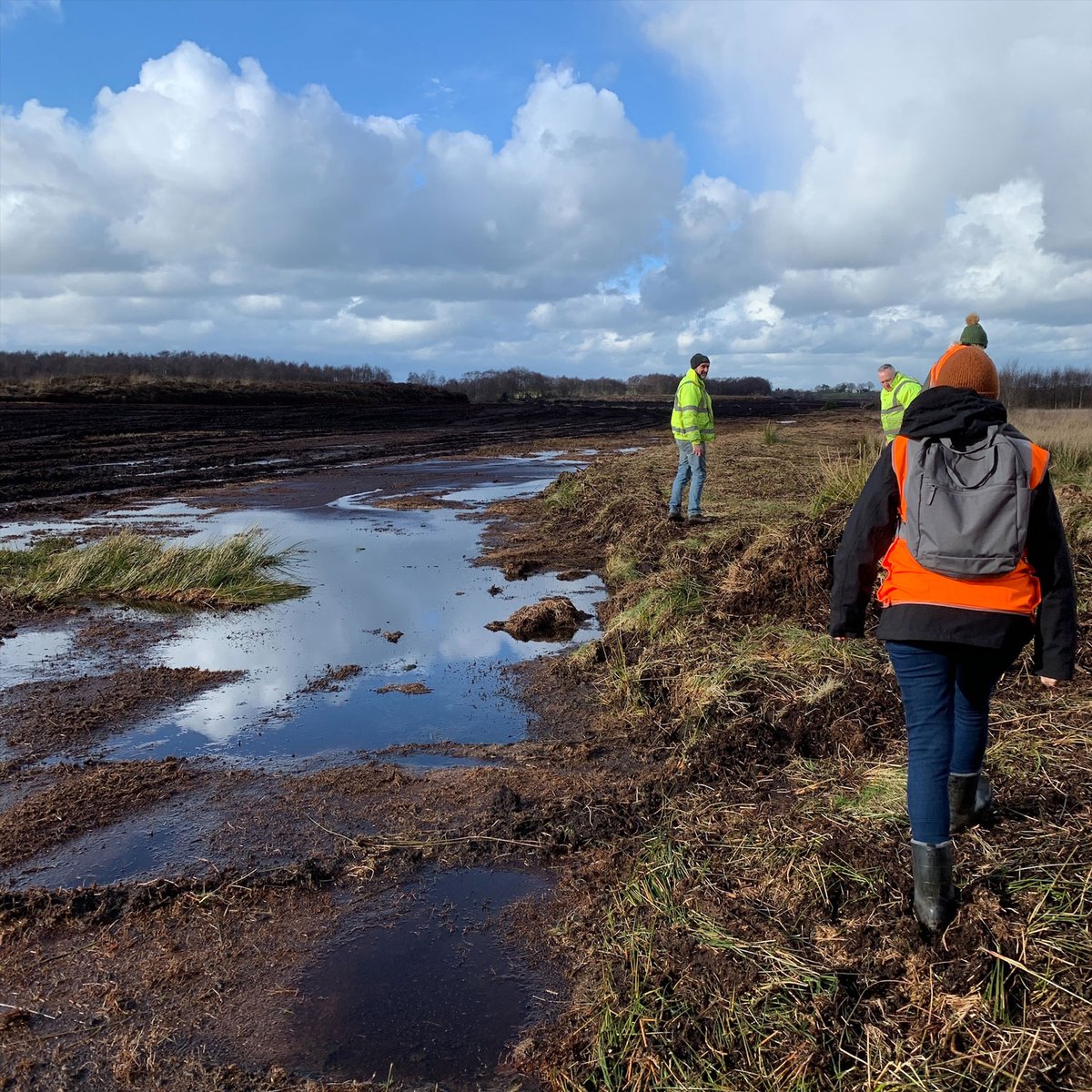 Recent analysis has revealed that a mysterious ancient bog body uncovered by peat harvesters in 2023 in northern Ireland and dated to between the 4th and 1st century B.C. is not a man, as originally thought, but a woman who may have been sacrificed.

archaeology.org/news/2025/02/2…