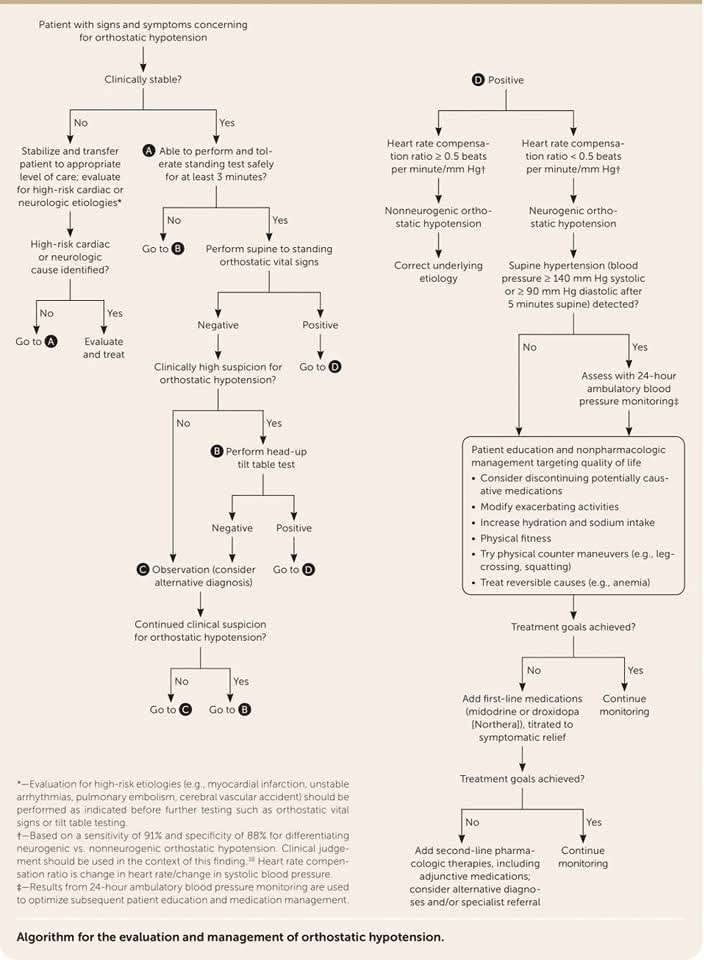 🔴Orthostatic Hypotension:  Practical Approach

 Defined as a decrease in blood pressure of
     1️⃣0 mm Hg or more diastolic or 
     2️⃣0 mm Hg or more systolic within 
     3️⃣ minutes of standing from the supine position
aafp.org/pubs/afp/issue…
L