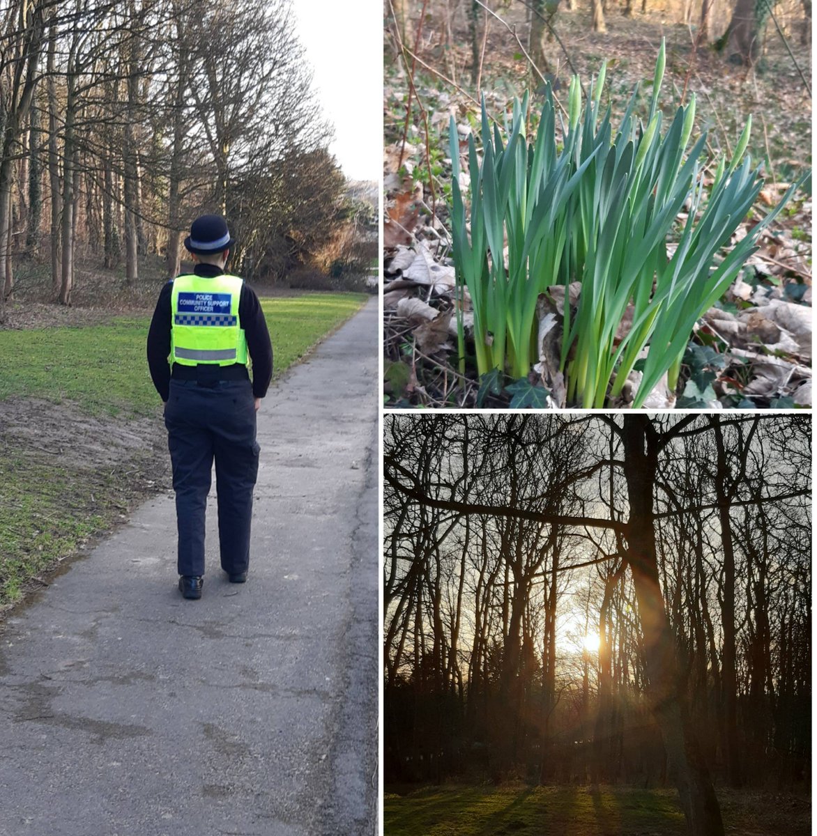 Humberbeat_NL's tweet image. #BRUMBY 
A nice evening stroll in the wooded area near to the woodlands crematorium on our way to Brumby ward
#SpringIsOnItsWay