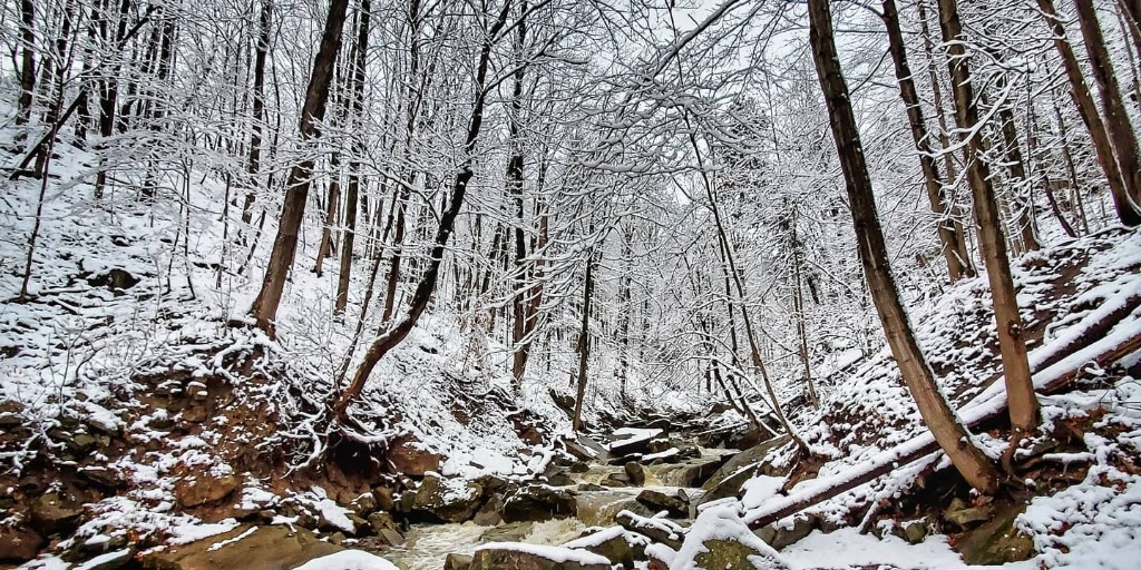 Embrace the magic of the snow and ice in Hamilton ❄️⁠
⁠
From scenic snowy hikes to exciting events, there are plenty of adventures to be had in the city this winter. ⁠
⁠
📸 <a href="/emilie_cgm/">Emilie</a> (IG) ⁠
⁠
Winter Guide: bit.ly/43dlzVg