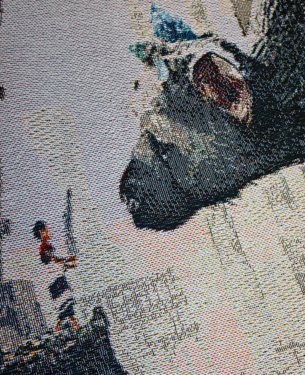 4xx1111's tweet photo. THE LAST GUARDIAN WOVEN CREWNECK ?!?!! https://t.co/cP96e0Htdi