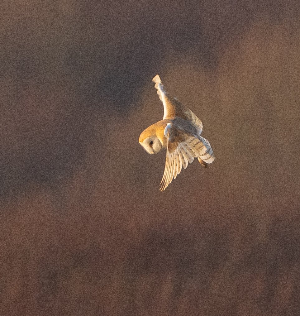 Mark Hipkin tweet media