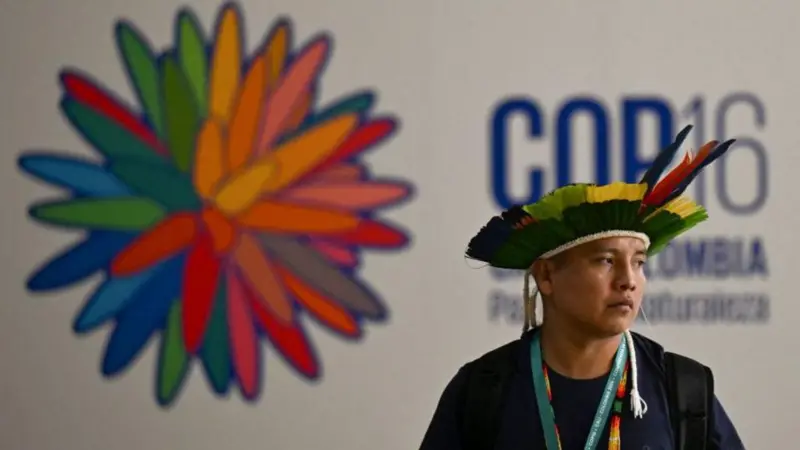 COP 16 2025: Hazina ya kufadhili Bio-Anuwai yazinduliwa mjini Roma
bbc.in/4h179KS
