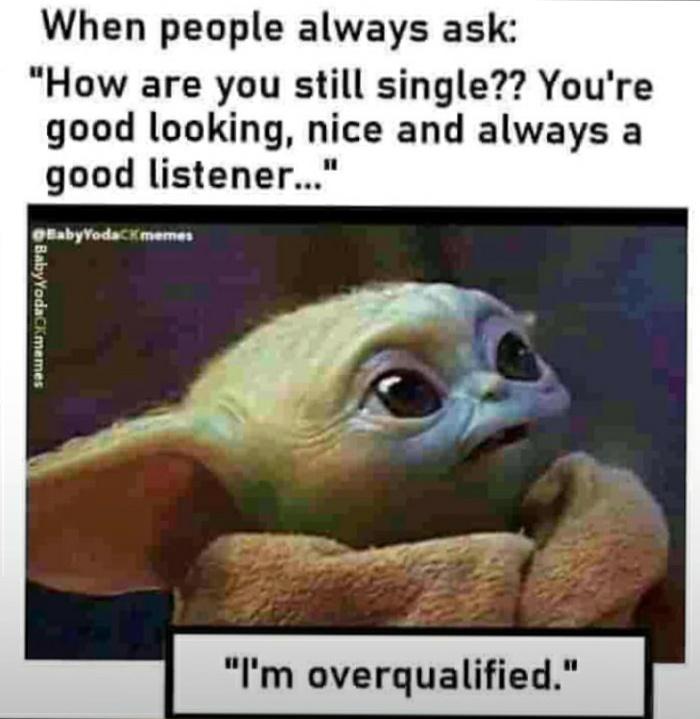 spreadash's tweet image. Maybe me too Is over qualified.