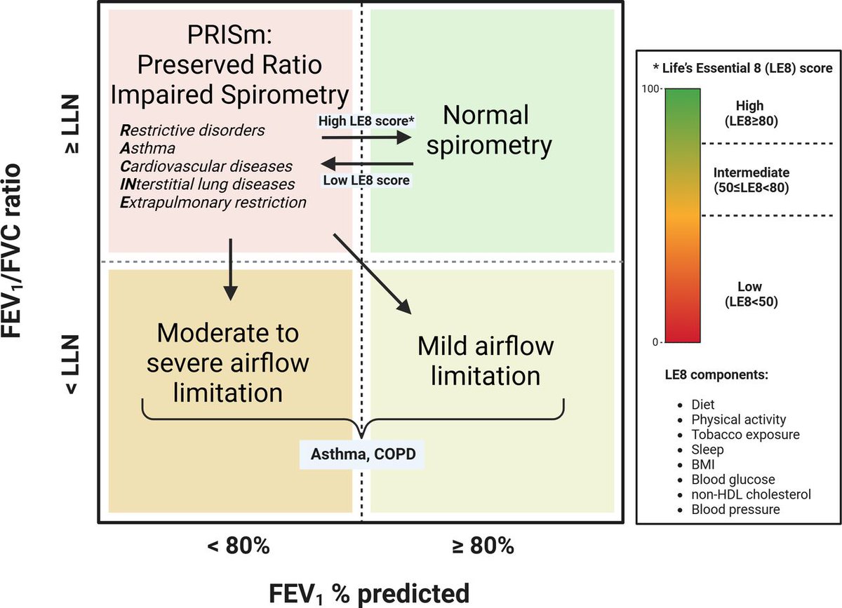 Editorial: PRISm- prognostic, preventable and treatable?
thorax.bmj.com/content/early/…