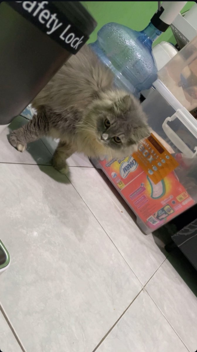 hyyy im back!!😾😾