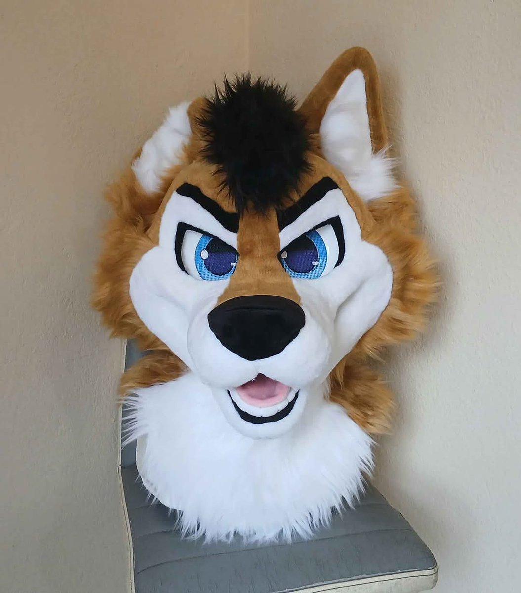 KokoCritters's tweet image. A cute husky that I finished a while ago 🐾🧡