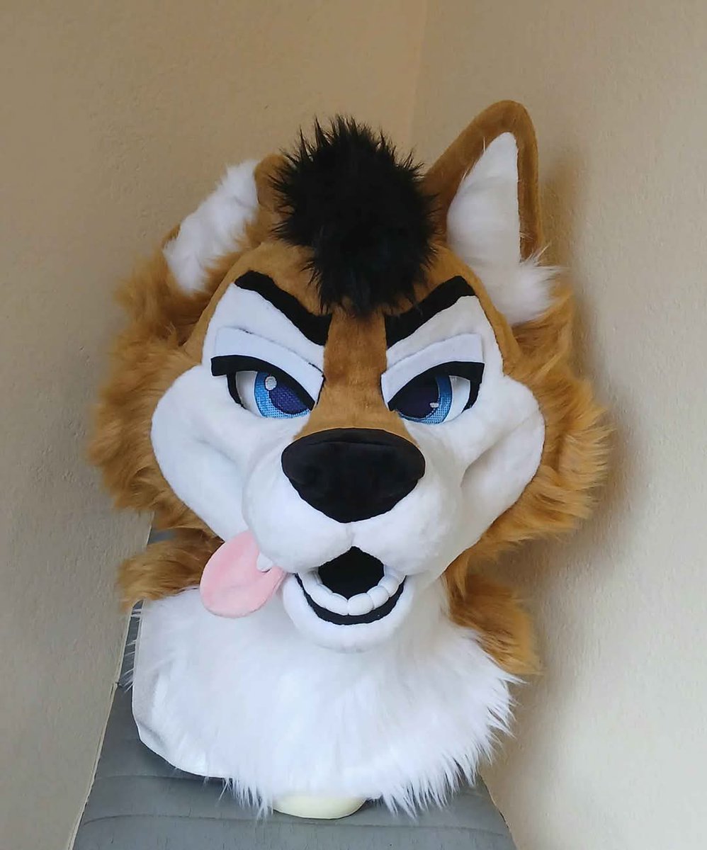 KokoCritters's tweet image. A cute husky that I finished a while ago 🐾🧡