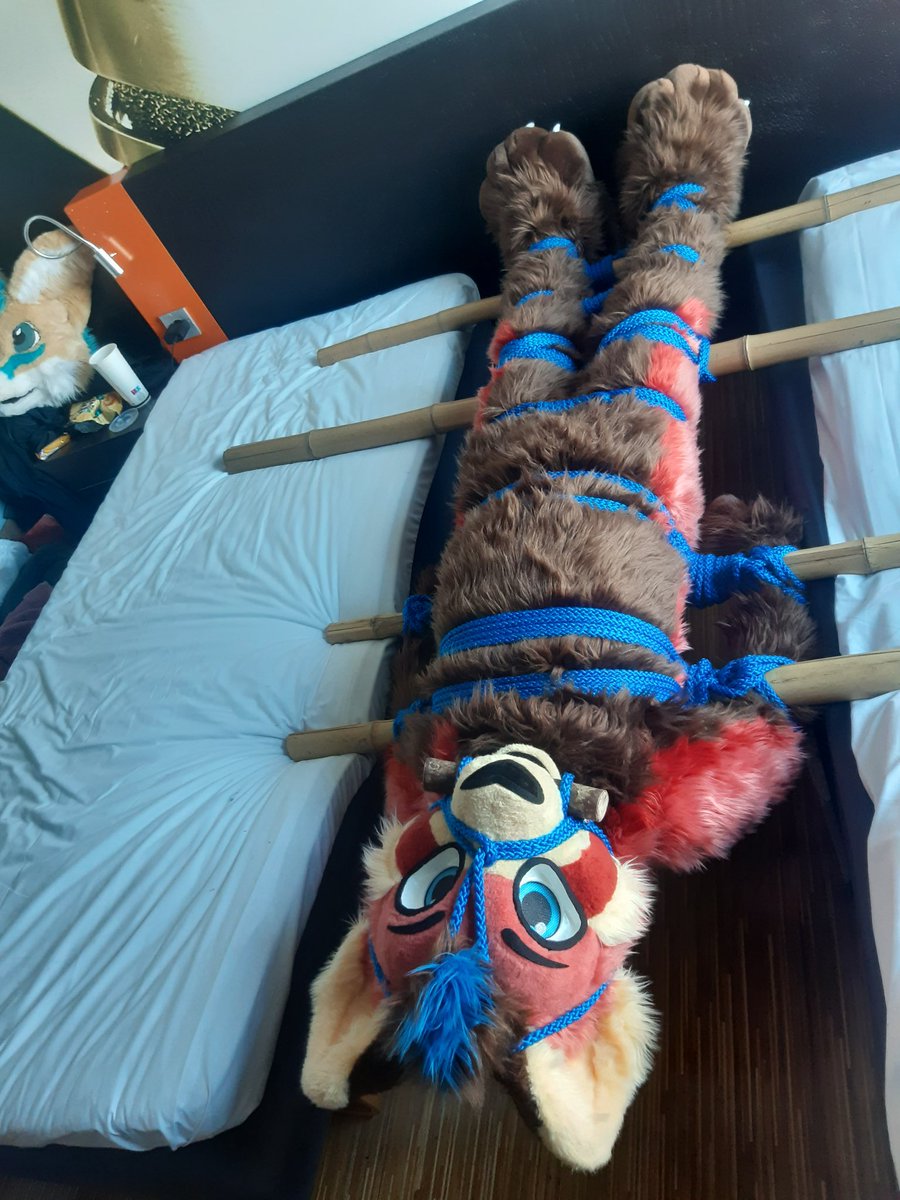 Shiwahri tweet media