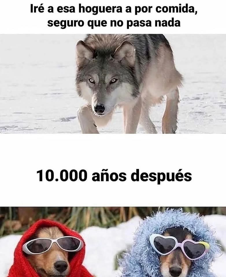 Enséñame de Ciencia (@ensedeciencia) on Twitter photo 