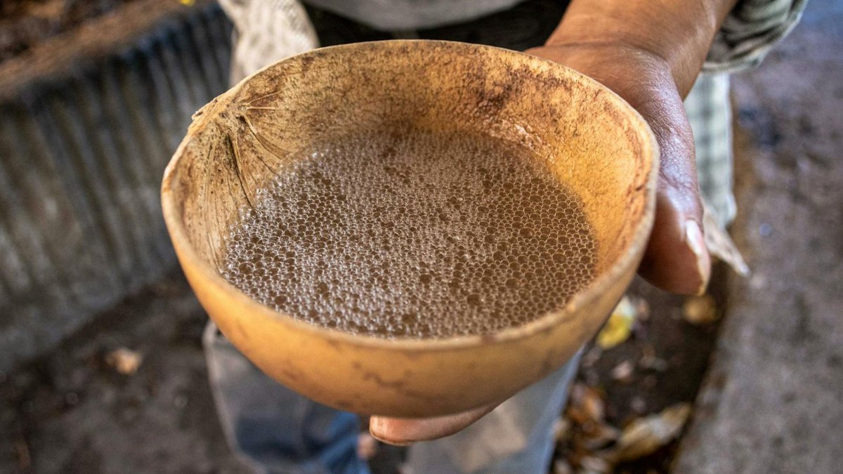 Have you heard of pozontle? This refreshing, lightly sweet cacao drink is traditionally prepared by women and served in a hollowed-out gourd. Want to grab a cup with us? Join our small group trip to Oaxaca:

bit.ly/4ki51l4