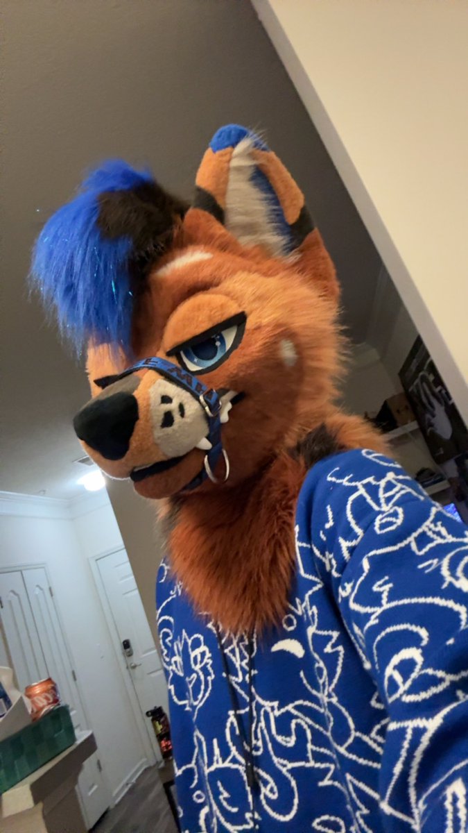 Ac room got time to woof