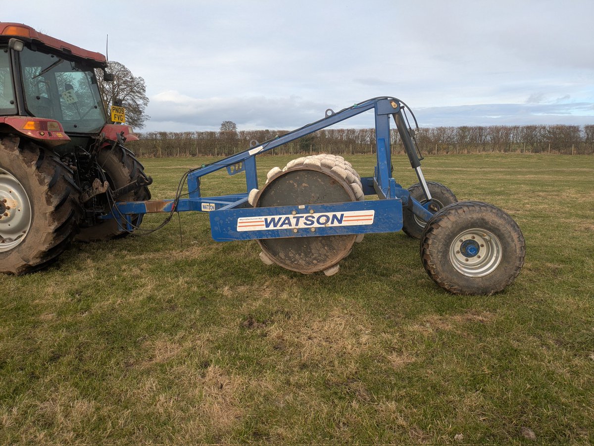 DONALD ROSS tweet media