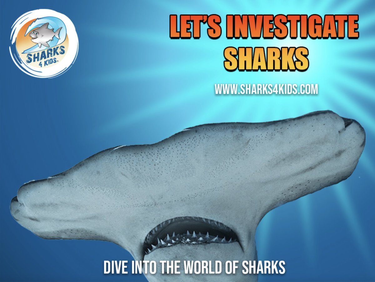 There is still time to register for our webinar TODAY at 1 pm EST 

Intro to Sharks for Middle School

nwf.org/Eco-Schools-US…