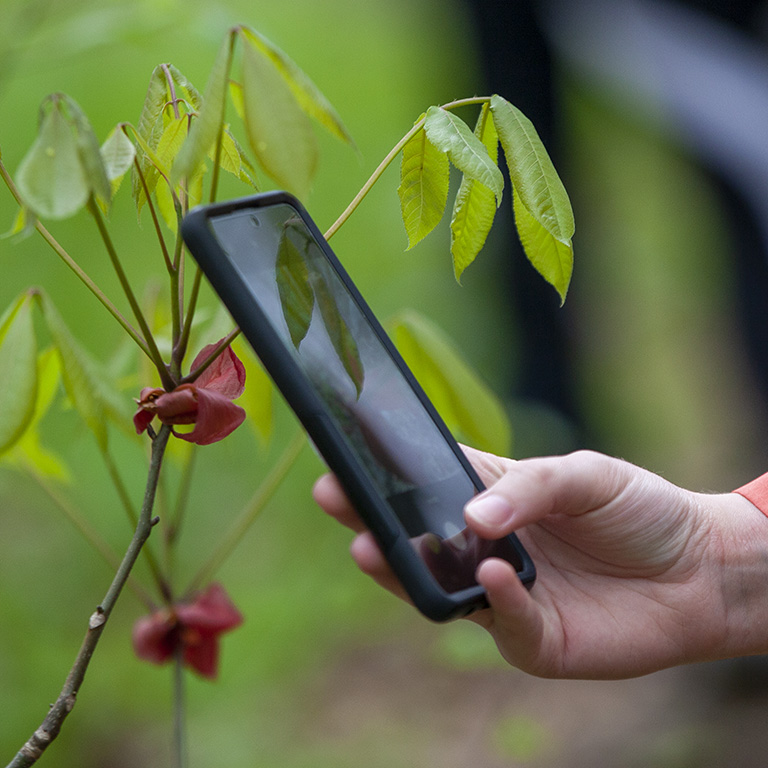 We're reaching lots more folks through other channels &amp; paused posting on this platform in 2024.

Here's where you can connect with us:
🌿Follow @kufieldstation on Instagram
🐍Follow @kufieldstation on Facebook
🌱Sign up for our E/News: app.e2ma.net/app2/audience/…
