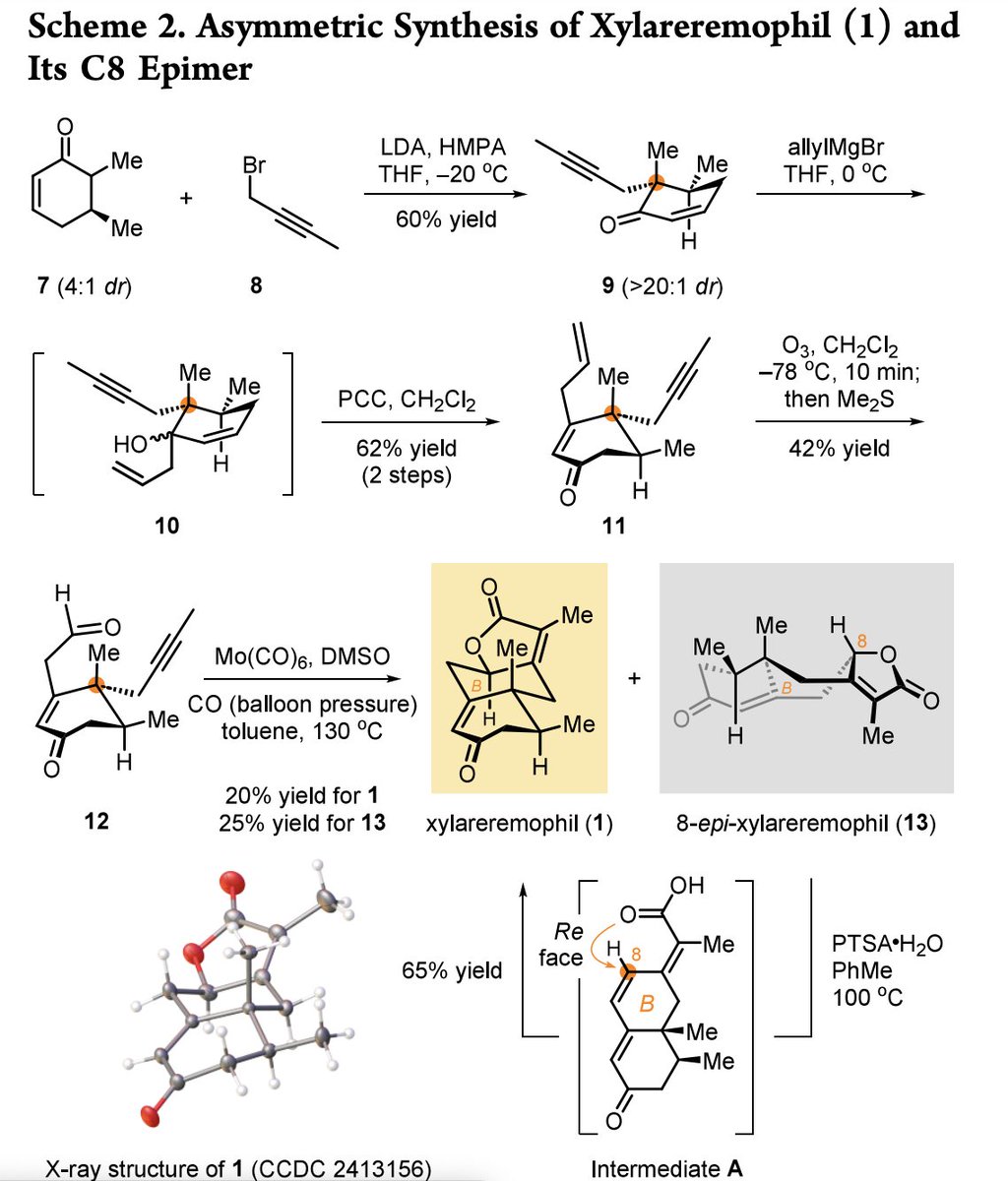 Total Synthesis tweet media