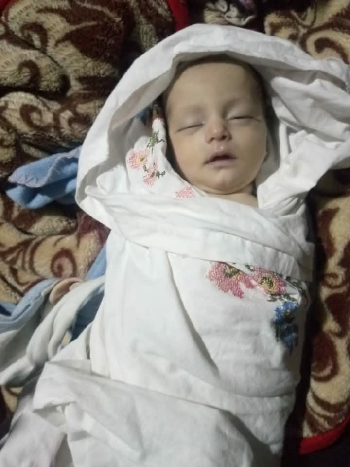 نيرمين أحمد - nermeen ahmad tweet media