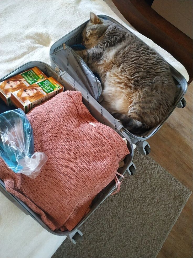 only packing the essentials